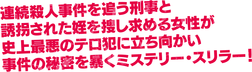 連続殺人事件を追う刑事と誘拐された姪を捜し求める女性が史上最悪のテロ犯に立ち向かい事件の秘密を暴くミステリー・スリラー！